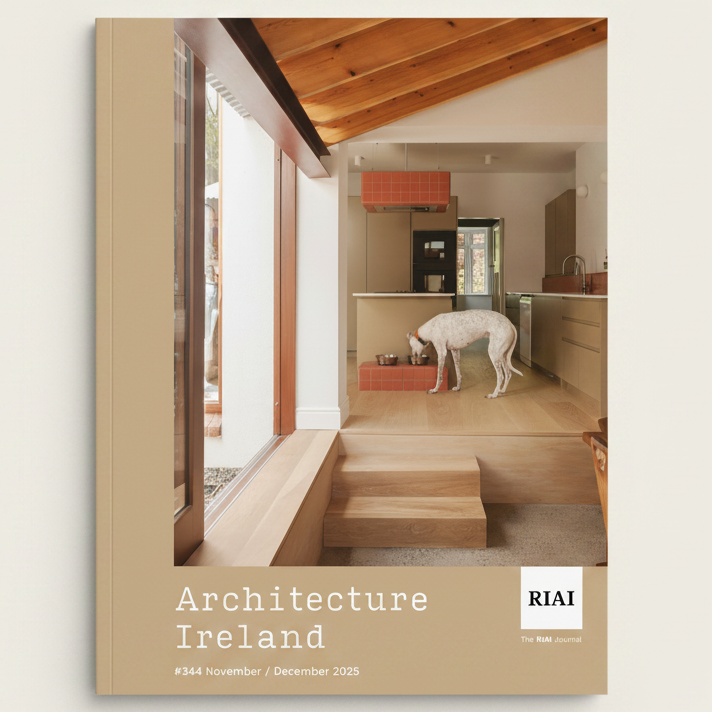 Cover of Architecture Ireland magazine, December 2025 issue, featuring a photograph of a modern home interior in Ireland with a white dog on a wooden platform. The left side has a solid beige border with the title 'Architecture Ireland' and the RIAI logo.