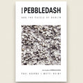 Book cover of 'Beyond Pebbledash and the Puzzle of Dublin' with pebbledash texture and author names.