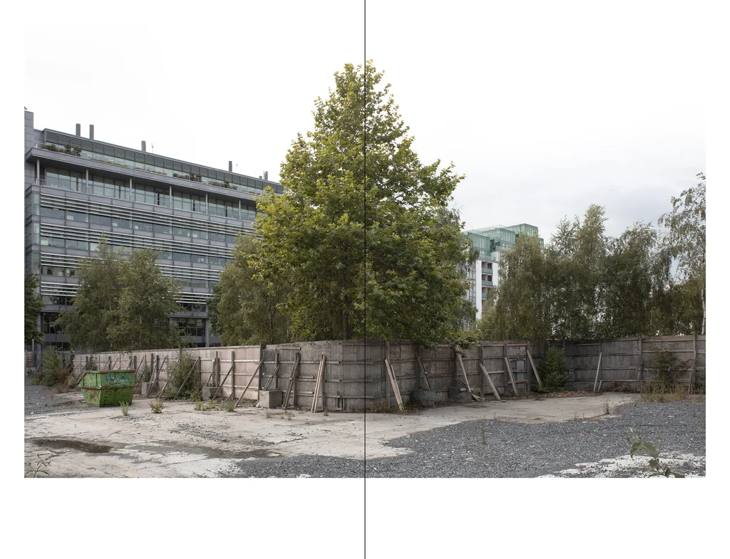 A wide outdoor scene showing a gravel and concrete lot in front of a large modern building, with several tall trees in the center and a wooden barrier running across the middle. The sky is overcast and the image appears somewhat flat and documentary in tone.