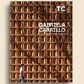 Book cover with architectural design and text 'Gabriela Carrillo' on a wooden wall background