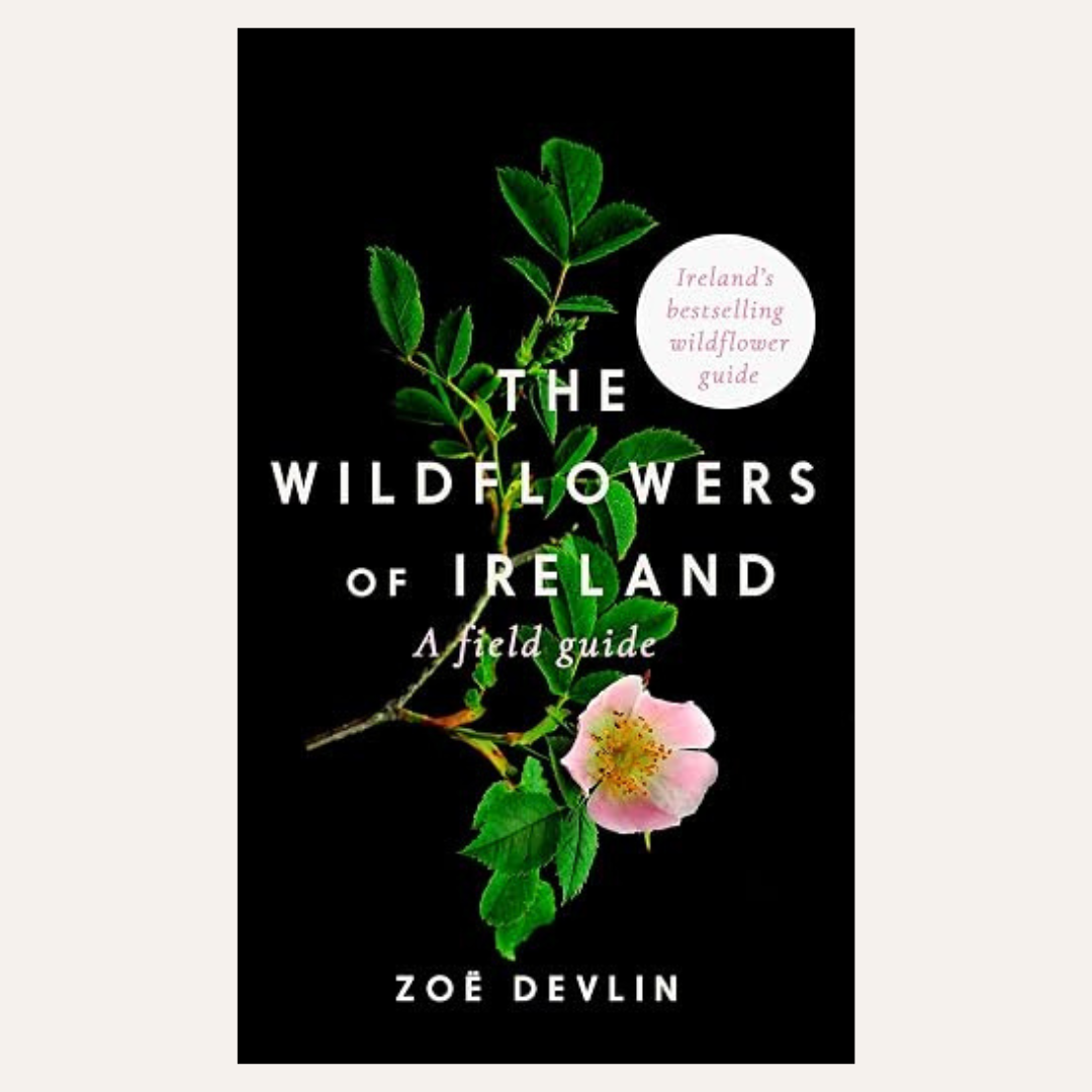 The Wildflowers of Ireland: A Field Guide by Zoe Devlin
